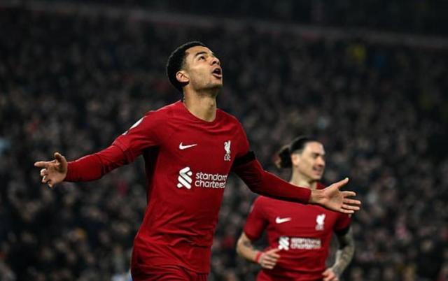 1676336943847066103.jpg 搜狗截图23年02月14日0904_4.jpg